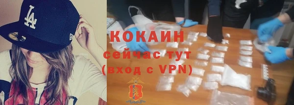 mix Бородино