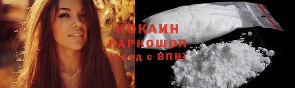 стаф Богородицк