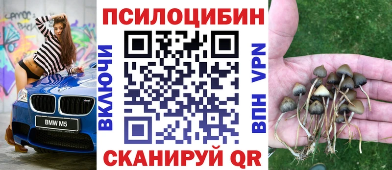 Псилоцибиновые грибы мухоморы  Юрьев-Польский 